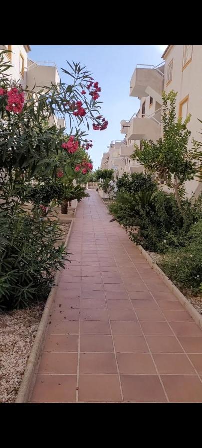 Apartamento Bajo Con Terraza Y Piscina Torrevieja Dış mekan fotoğraf