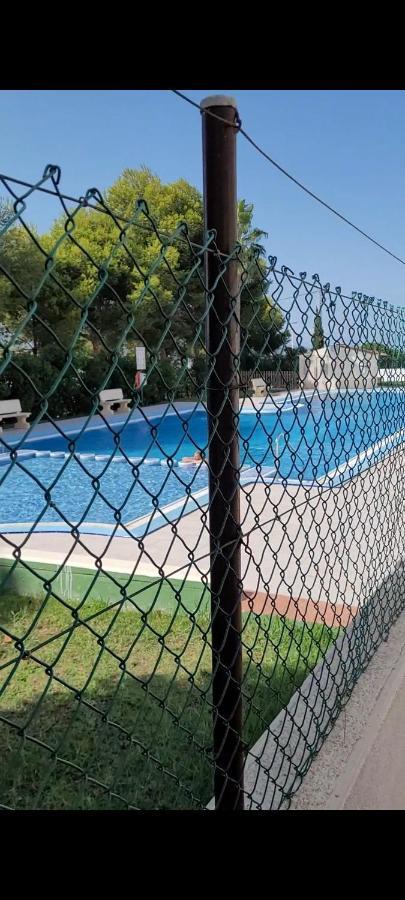 Apartamento Bajo Con Terraza Y Piscina Torrevieja Dış mekan fotoğraf