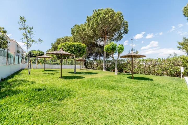 Apartamento Bajo Con Terraza Y Piscina Torrevieja Dış mekan fotoğraf